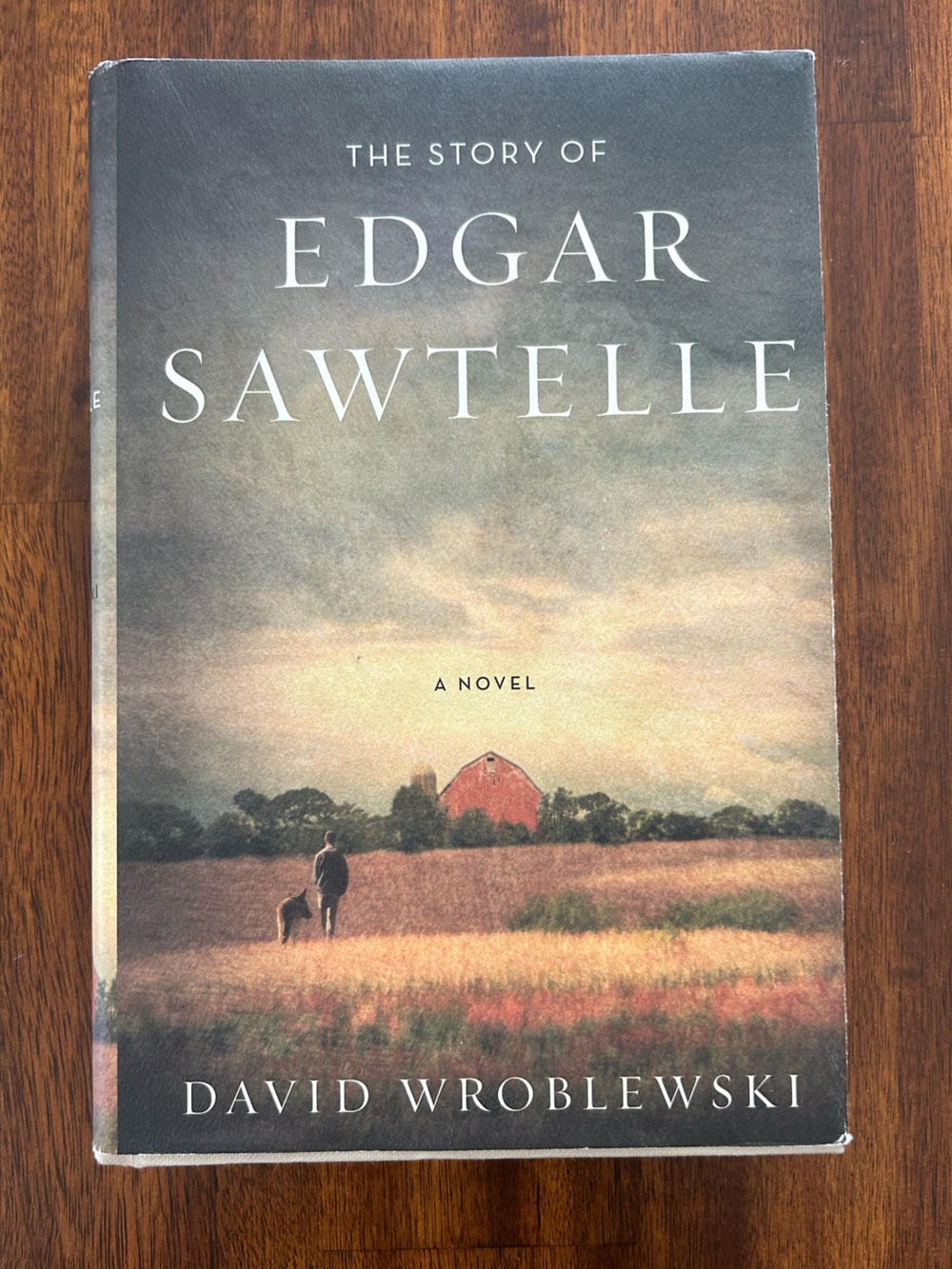 ๐ 3/$30 The Story of Edgar Sawtelle by David Wroblewski Hardcover